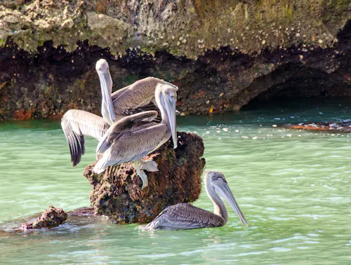 Nationalpark Los Haitises, Dominikanische Republik &ndash; &copy; doris oberfrank-list - stock.adobe.com