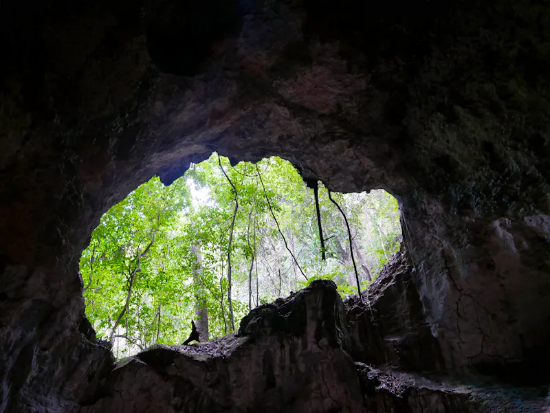 Nationalpark Los Haitises, Dominikanische Republik - &copy;Johannes Kranich - stock.adobe.com