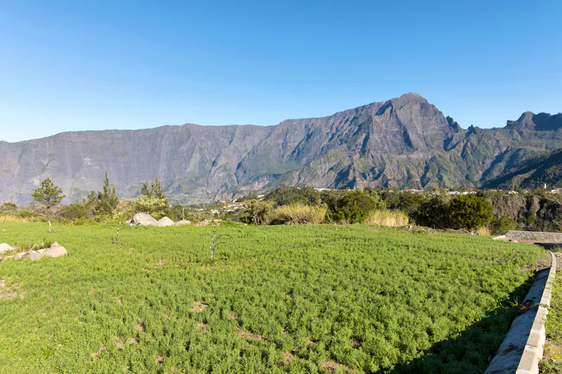 Linsenfelder im Inselinneren von La Reunion - &copy;mauriziobiso - stock.adobe.com