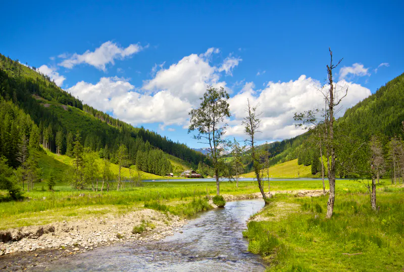 Am Steirischen Bodensee - &copy;bettina sampl - stock.adobe.com