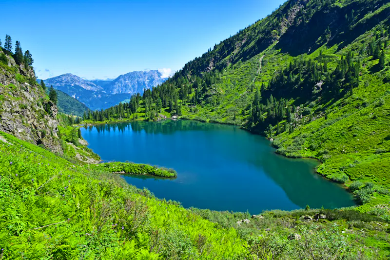 Obersee im Naturschutzgebiet am Steirischen Bodensee - &copy;Michael - stock.adobe.com