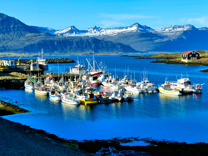 Djupivogur im Osten von island - &copy;OLENA LIALINA - stock.adobe.com