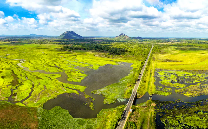 Straße nach Anuradhapura in Sri Lanka - &copy;Geeth Mendis - stock.adobe.com