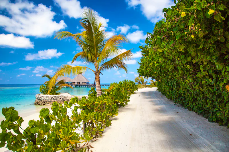Privatinsel Bandos Maldives - &copy;marcinmaslowski - stock.adobe.co
