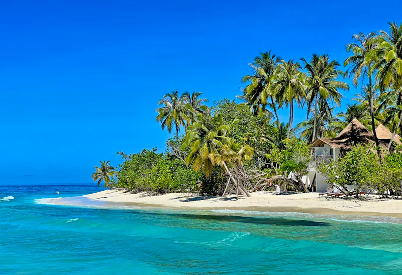 Strand und Palmen auf Bandos - Malediven - &copy;ufuk - stock.adobe.com
