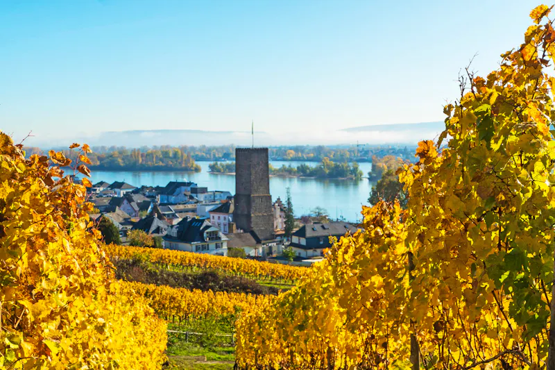 Blick auf Rüdesheim - &copy;pusteflower9024 - stock.adobe.com