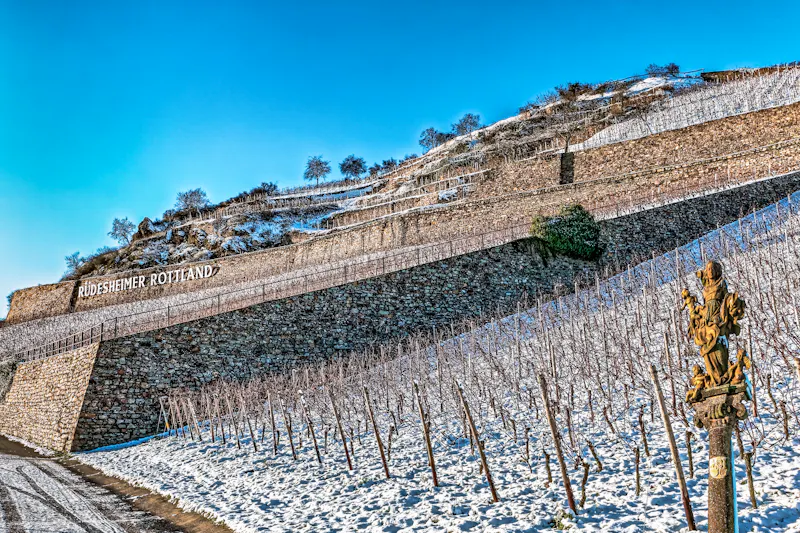 Weinberge bei Rüdesheim im Winter - &copy;Dieter Meyer - stock.adobe.com