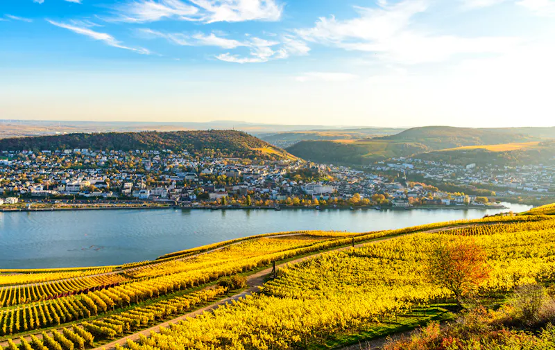 Rüdesheim am Rhein in Hessen - &copy;Mikalai - stock.adobe.com