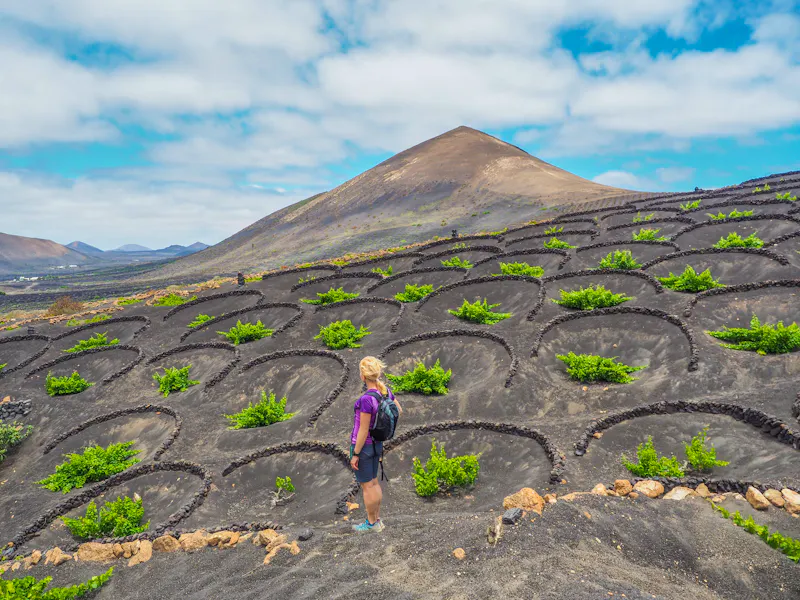 Wandern zwischen Weinbergen von La Gerie - Lanzarote - &copy;Ina Ludwig - stock.adobe.com