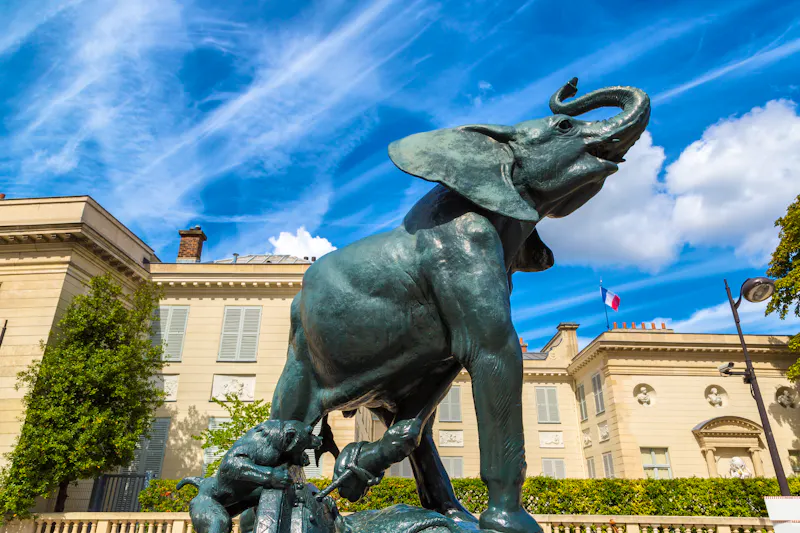 Paris - Elefanten-Skulptur vor dem Musee D'Orsay  - &copy;Sergii Figurnyi - stock.adobe.com