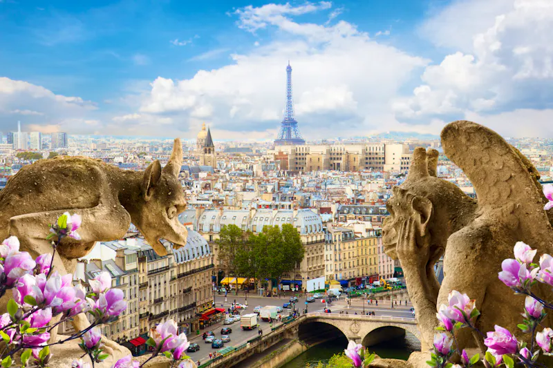 Fabelwesen an der Kathedrale Notre-Dame und Blick auf die Stadt Paris - &copy;neirfy - stock.adobe.com