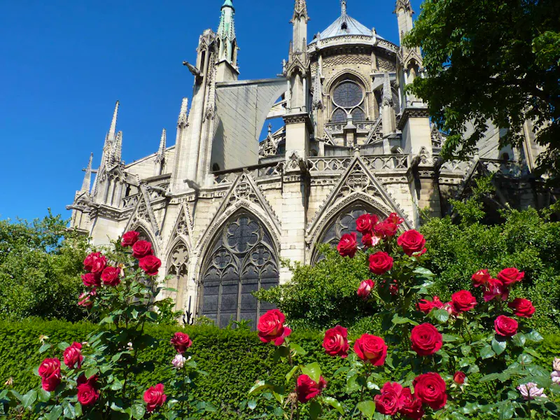 Kathedrale Notre-Dame de Paris - &copy;Steffi Zimmermann - Eberhardt TRAVEL