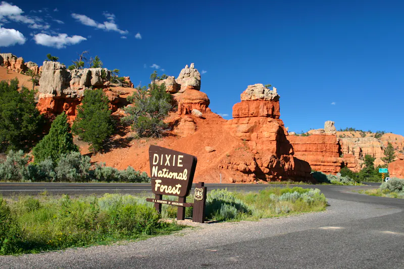 Dixie National Forest - &copy;S74.FR - stock.adobe.com
