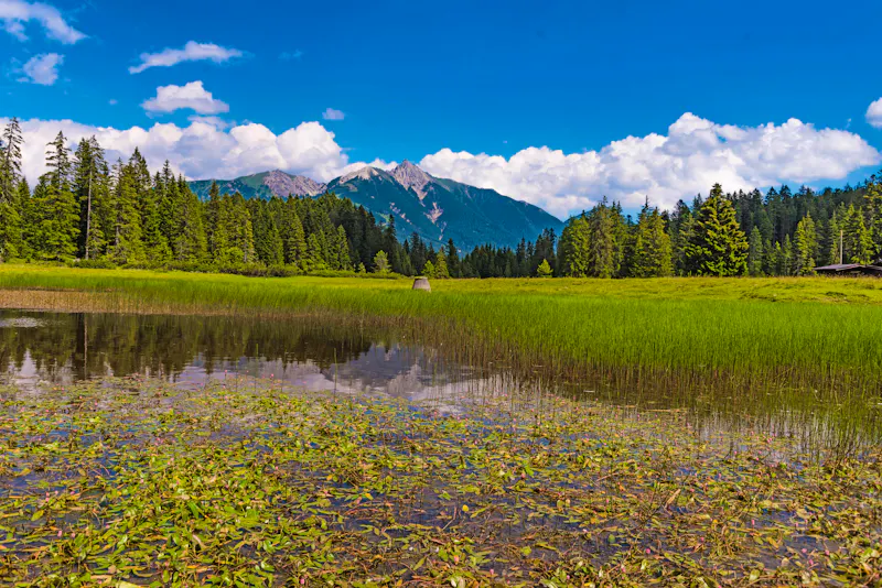 Weiher an der Wildmoosalm bei Seefeld in Tirol - &copy;driendl - stock.adobe.com