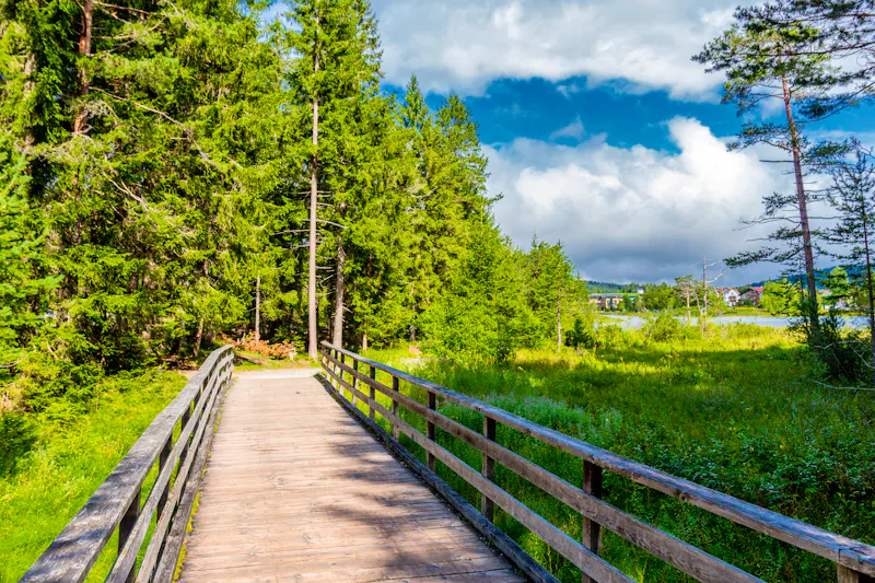 Wanderweg am Wildsee bei Seefeld in Tirol - &copy;Oliver Hlavaty - stock.adobe.com