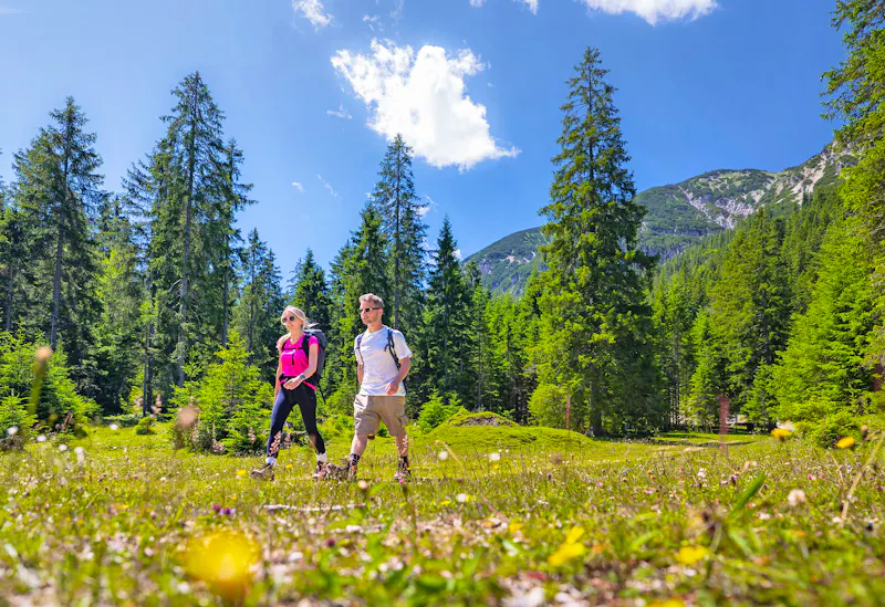 Wanderung zur Eppzirler Alm im Sommer  - &copy;Region Seefeld