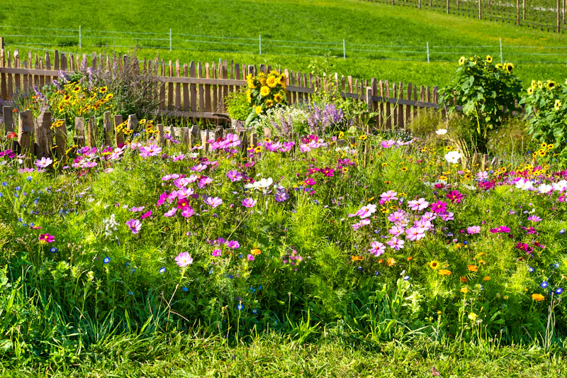 Bauerngarten bei Seefeld in Tirol - &copy;lichtbildmaster - stock.adobe.com