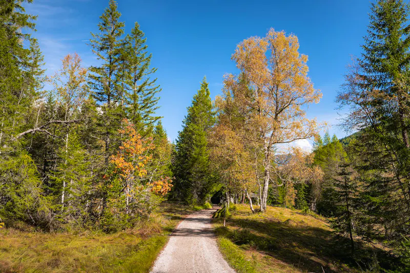 Wanderweg durch das Katzenloch - &copy;Region Seefeld