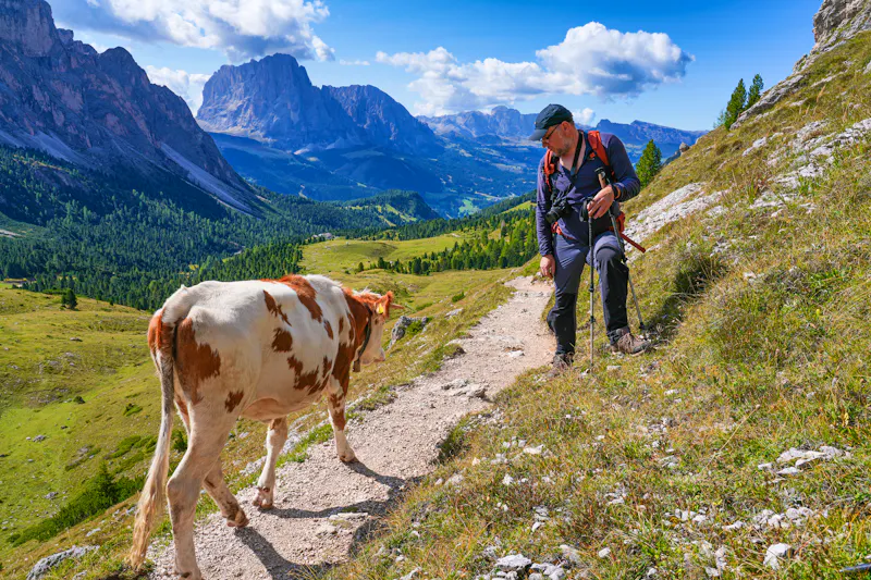 Wanderung im Puez Geisler Naturpark - &copy;Kaspars - stock.adobe.com