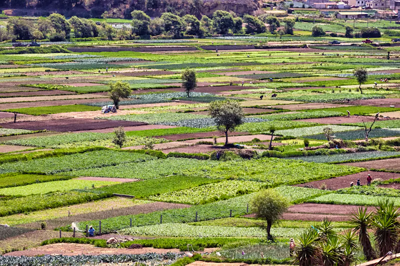 Gemüseplantage in Almolonga, Guatemala - &copy;Ingo Bartussek - stock.adobe.com