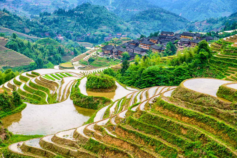 Reisterrassen in Guilin, China  - &copy;SeanPavonePhoto - stock.adobe.com