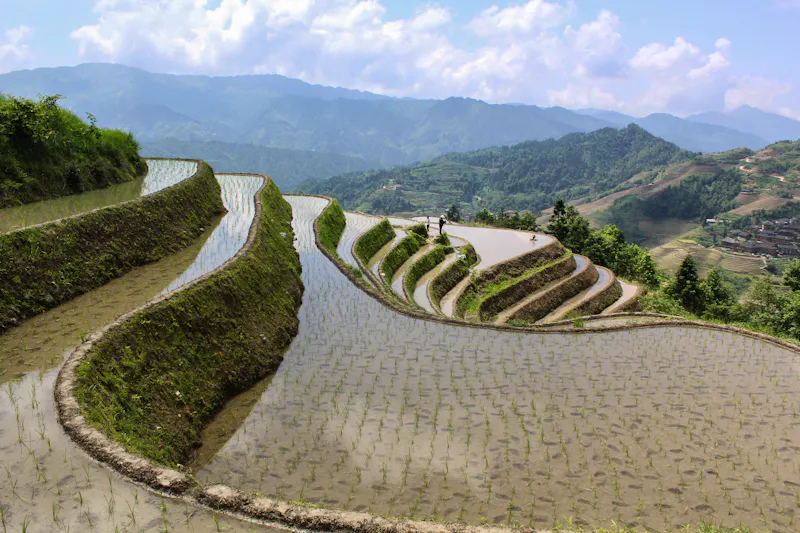 Longji Reisterrassen in Gulin, China  - &copy;David - stock.adobe.com