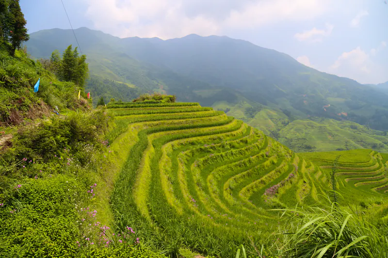 Reisterrassen in Guilin, China  - &copy;Fike2308 - stock.adobe.com