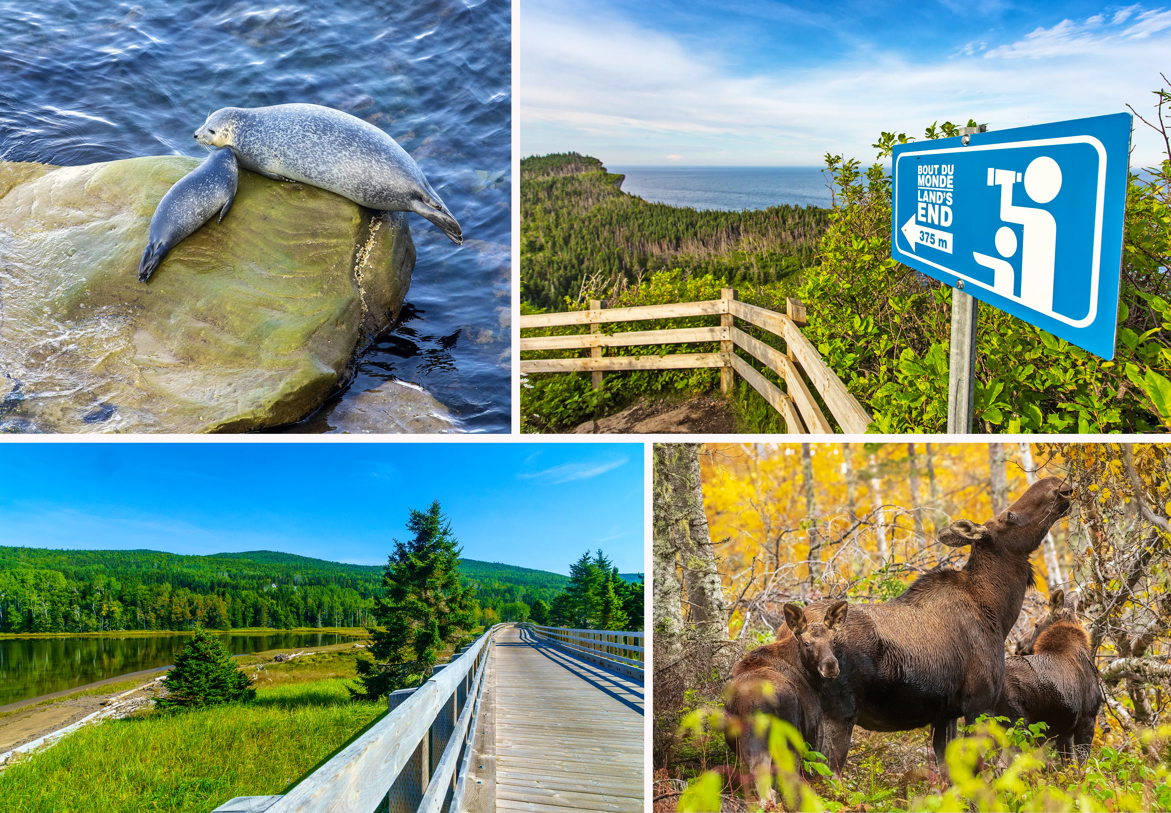 Parc National du Bic und Forillon in Québec&nbsp;&ndash;&nbsp;&copy;&nbsp;Mathieu Dupuis & Bric Deschamps, Le Quebec maritime / RnDmS, Philippe Henry/imageBROKER - stock.adobe.com