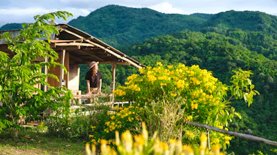 Costa Rica Pura Vida Glamping