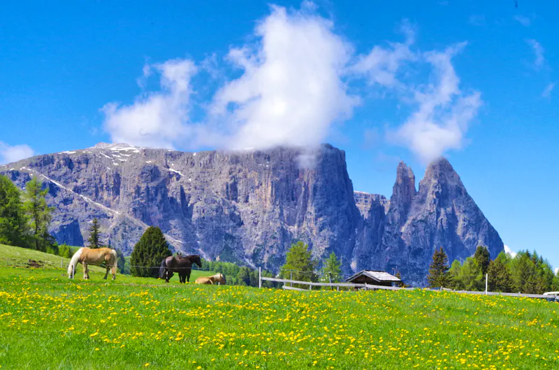 Seiser Alm 12 - &copy;Eberhardt TRAVEL