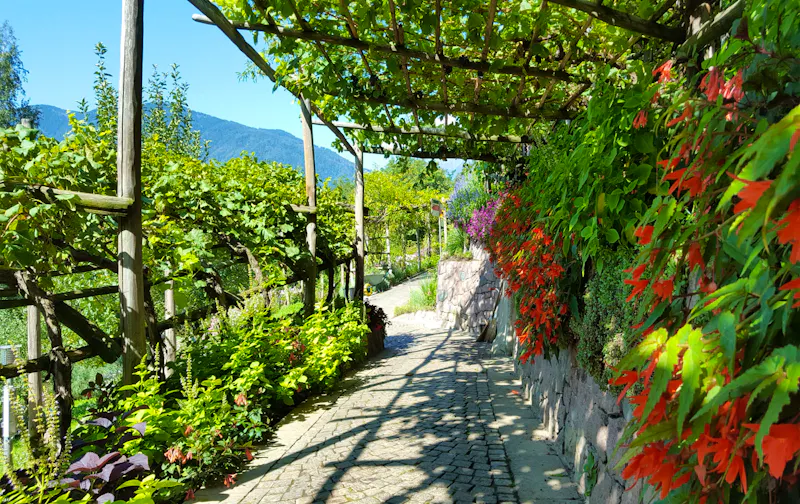 Garten von Schloss Trauttmansdorff - &copy;Betina Marinov - Eberhardt TRAVEL