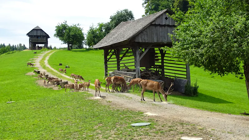 Loka Weg in Dobrna, Slowenien - &copy;Terme Dobrna