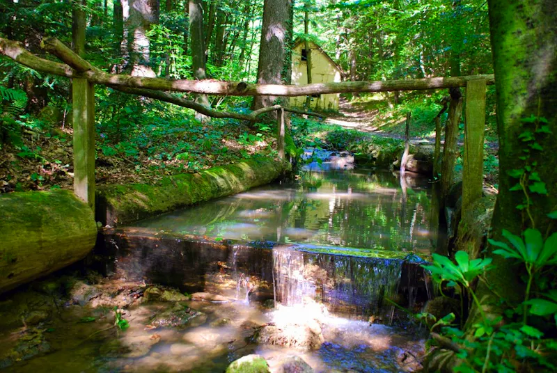 Loka Weg in Dobrna, Slowenien - &copy;Terme Dobrna