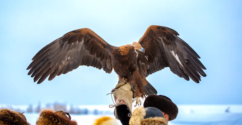  Die Falknerei ist in Kasachstan Teil einer jahrhundertealten Tradition - &copy;Vera - stock.adobe.com