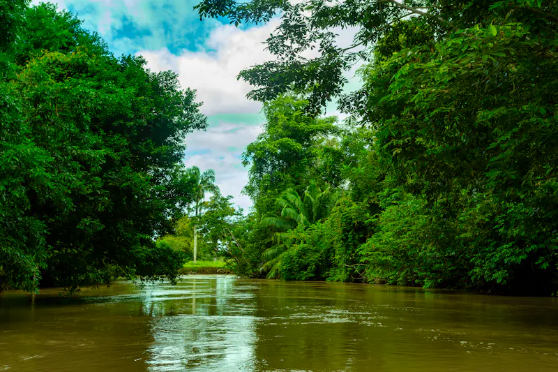 Naturreservat Caño Negro in Costa Rica - &copy;www artushfoto eu     artushfoto