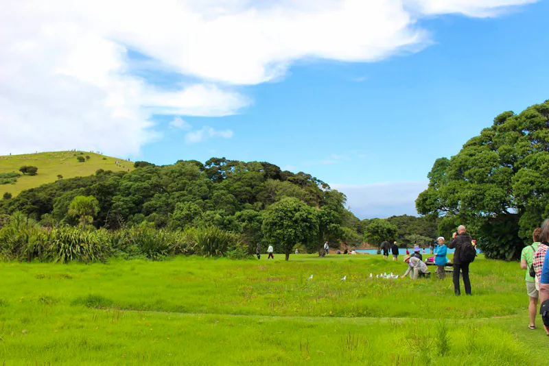 Bay of Islands, Insel Urupukapuka  - &copy;Marianne Schulze - Eberhardt TRAVEL