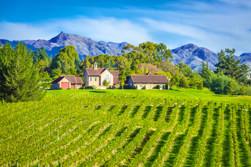 Weinberge in der Marlborough Region - &copy;A. Karnholz - stock.adobe.com