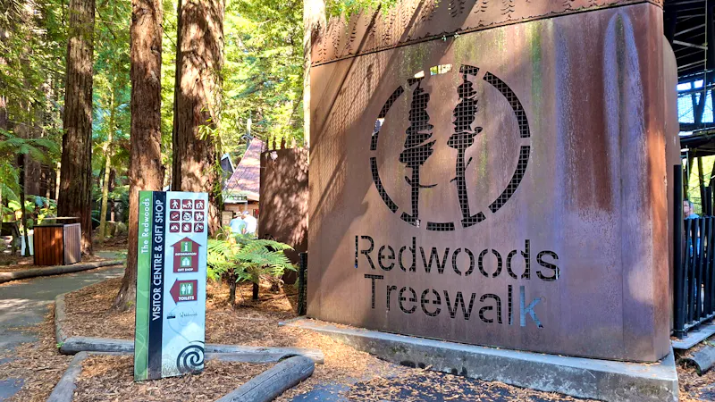 Redwood Forest • Whakarewarewa Forest  - &copy;Franziska Bergmann - Eberhardt TRAVEL
