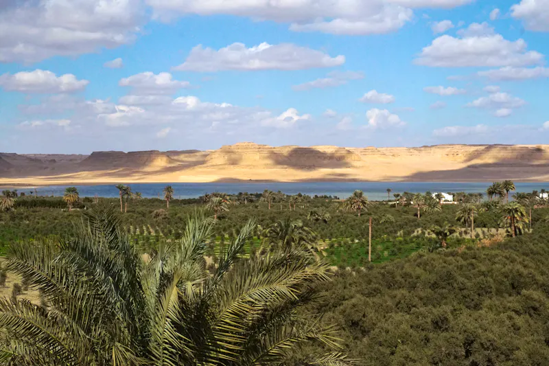 Fayoum in Ägypten  - &copy;Vеra - stock.adobe.com