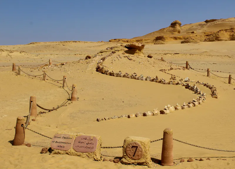 Wadi Al-Hitan „Tal der Wale“ in Ägypten  - &copy;Ahmed - stock.adobe.com