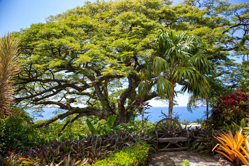 Romney Manor in St. Kitts - &copy;John Hancock Photography