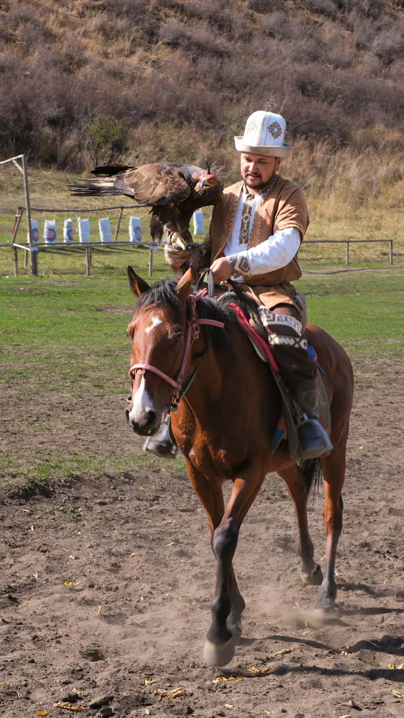Nomad Ethno Center - Mann auf Pferd mit Greifvogel - &copy;Foto bereitgestellt von GLOBAL  AIR DMC 