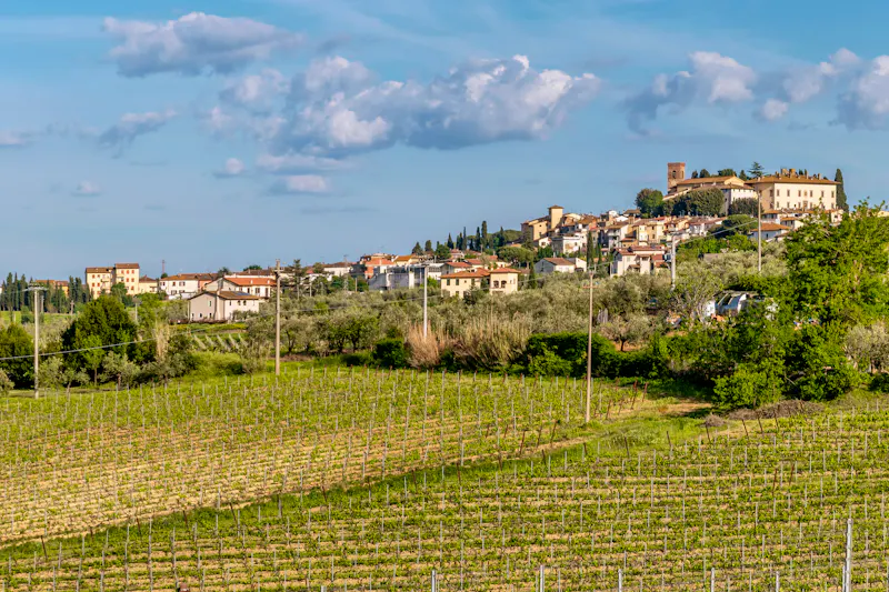 Städtchen Cerreto Guidi in der Toskana - &copy;Marco Taliani - stock.adobe.com