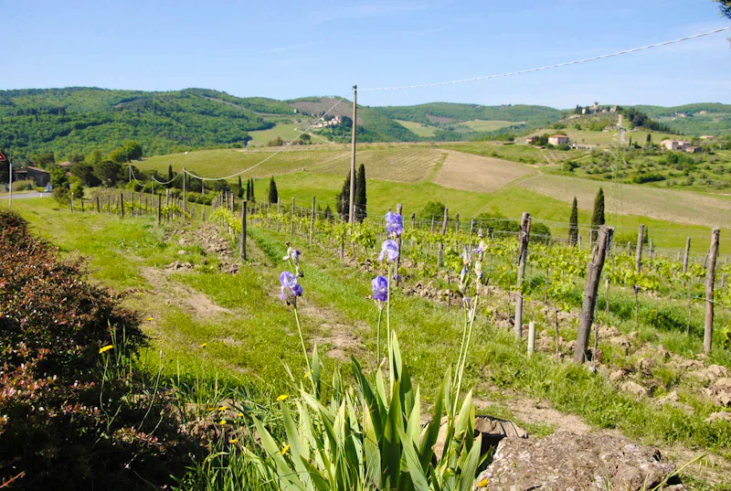 Blick in die Landschaft des Chianti-Gebietes - &copy;Philipp Schmitz - Eberhardt TRAVEL