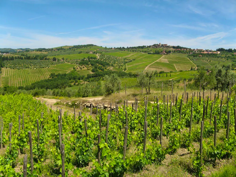 Chianti-Weinstraße - &copy;petra sauer - Eberhardt TRAVEL