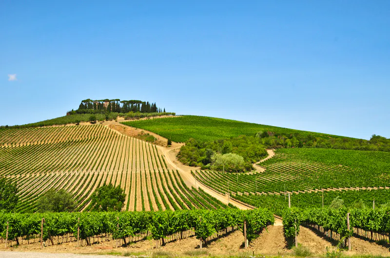 Weinregion Chianti - Toskana - &copy;lamio - stock.adobe.com