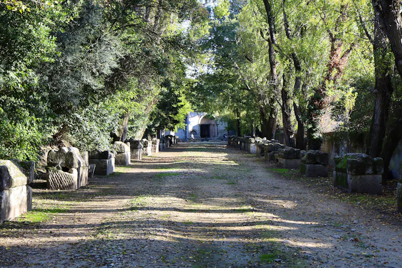 Begräbnisstätte Alyscamps aus der Antike - Arles, Frankreich  - &copy;ERIC - stock.adobe.com
