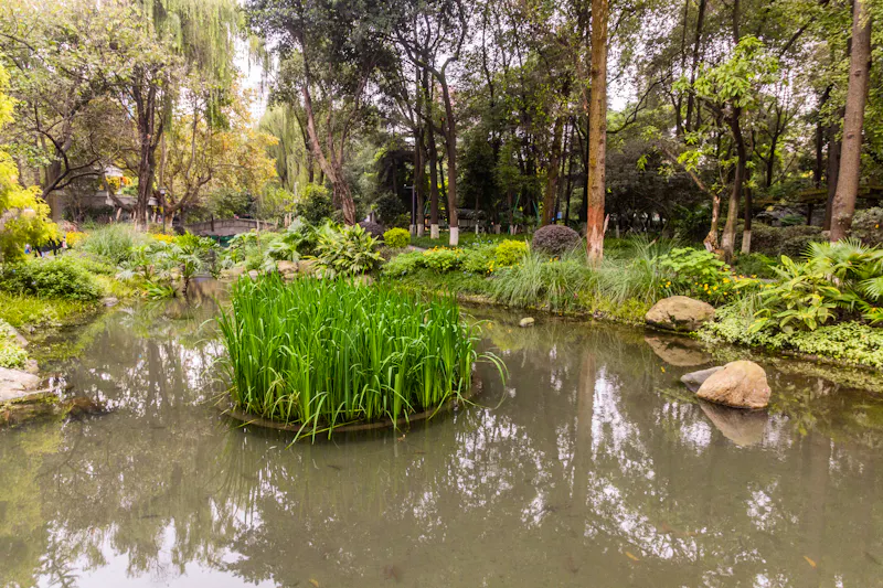 Volkspark in Chengdu, China - &copy;Matyas Rehak - stock.adobe.com