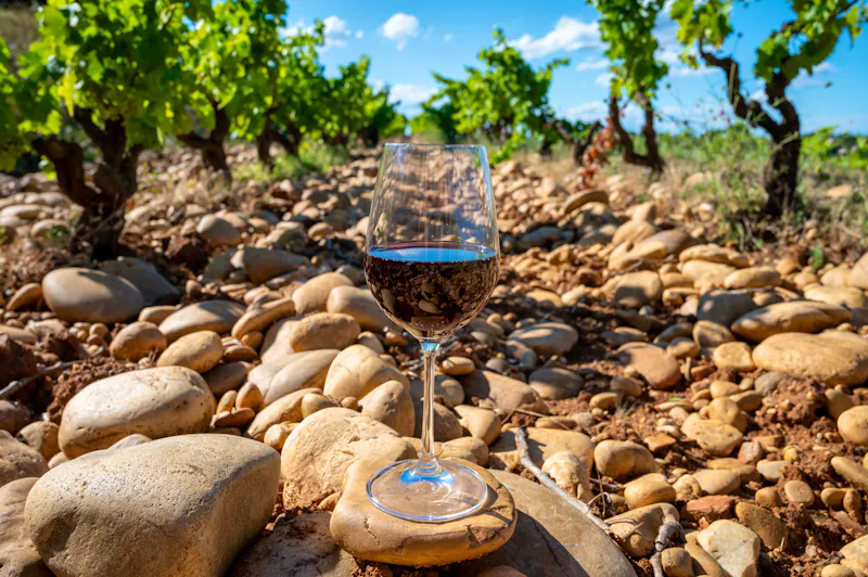 Châteauneuf du Pape Weinregion in der Provence - &copy;barmalini - stock.adobe.com
