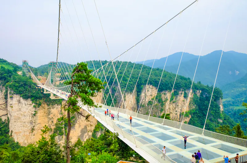 Zhangjiajie National Park - Skywalk über den Grand Canyon - &copy;u photostock - stock.adobe.com